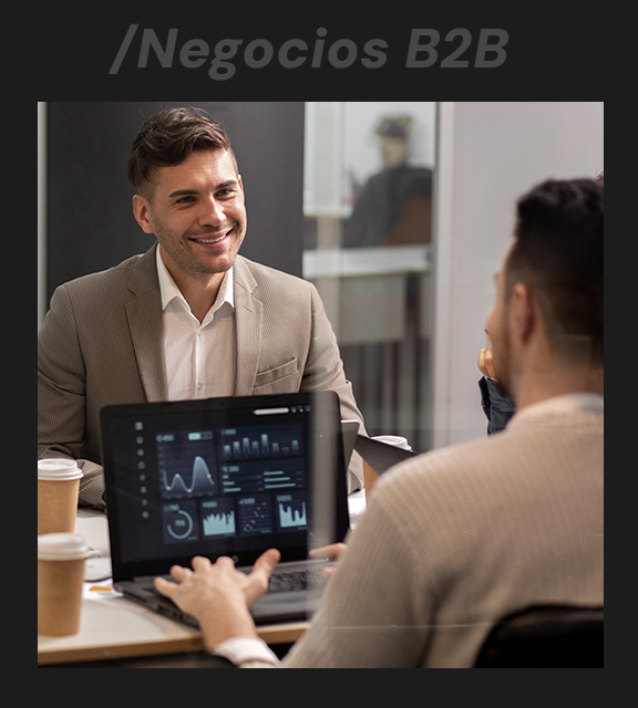 paginas-web-negociosb2b